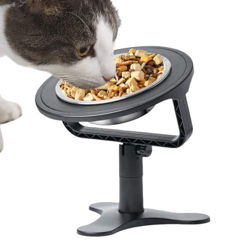 ߂ꂽX[tB[_[p{E - ߉\A߂ɌX΂t`uhbOt[h{EA^ђ^p̌X΂ybga{EA~ߔLqp |X^ht 2XeXSt ˌp{EX^h́AƃeiX