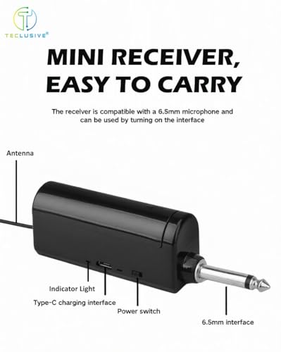 Image of T TECLUSIVE Wireless Microphone Professional for Speaker 6.35mm Amplifier Outdoor Karaoke Singing | Noise Cancellation | Dual Rechargeable Type-C 10Hours Battery Mic with Transmitter