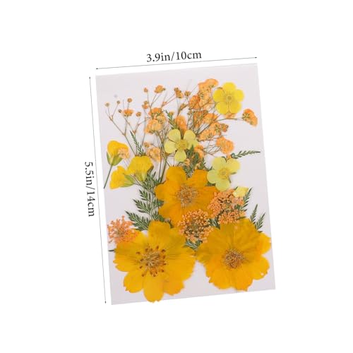 HEALEEP 4 flor seca faça você mesmo flores secas a granel artesanato em resina