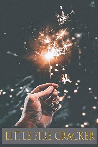 Little Fire Cracker: 4th of july sparklers , firework fuse ,wedding sparkles,diwali firecrackers,fireworks sticks,party,birthday, notebook , journal