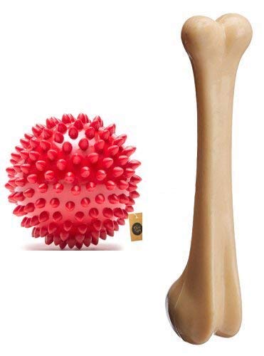 Pets Rubber Spiked Ball Dog Chew Toy and Large Plastic Dog Bone Chew Toy, Colour May Vary (B07X8J75T6) Amazon Price History, Amazon Price Tracker