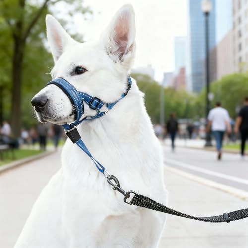 MUYAPAY Halfter Anti-Zug Kopfgeschirr für Hunde Stoppt Ziehen an der Leine Sanft Effektiv Einfache Anpassung, Leicht, mit Gepolstertem Nasenriemen, Anti-Zug-Halsband für Mittelgroße Hunde