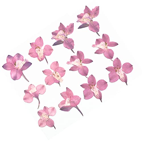 CUDDIKAJI 3 Flor Seca Pétalas Naturais Decorativa Segura Decoração Rosa Colorida