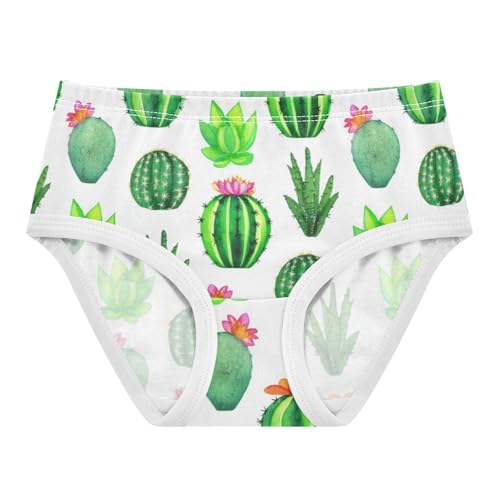 Animal Toddler Underwear Floral 2t Cotton Panties Little Girl Cacti Succulents White Undies Kids Briefs