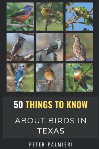 50 Things to Know About Birds in Texas: Birding in the Lone Star State (50 Things to Know About Birds- United States)