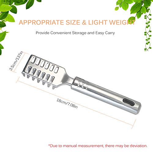 Escova de raspador de peixe de aço inoxidável Removedor de escama de peixe Escova de raspagem Escova