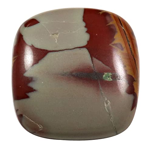 Ch Noreena WXp[ XNGA VR [X  24.45Jbg Qq100-B09Q6566X3