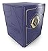 Ravensburger Disney Lorcana TCG: Premium Deck Box | Securely Store 100 Sleeved Cards | Durable Portable Organizer for TCG Players | for Ages 8+