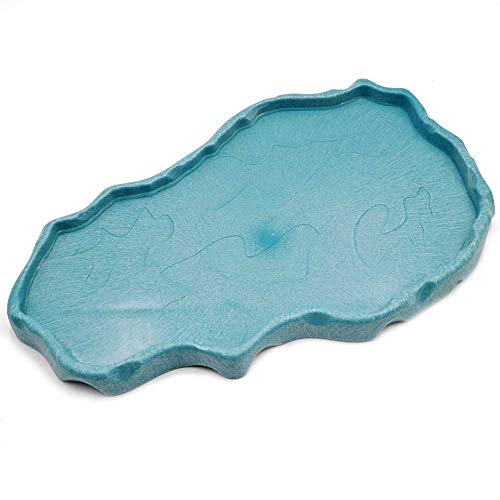 Reptile Food and Water Bowl Dish Reptile Food Dish Large Tortoise Water Bowl for Turtle Lizard Snake Gecko Ball Python… - Image 5