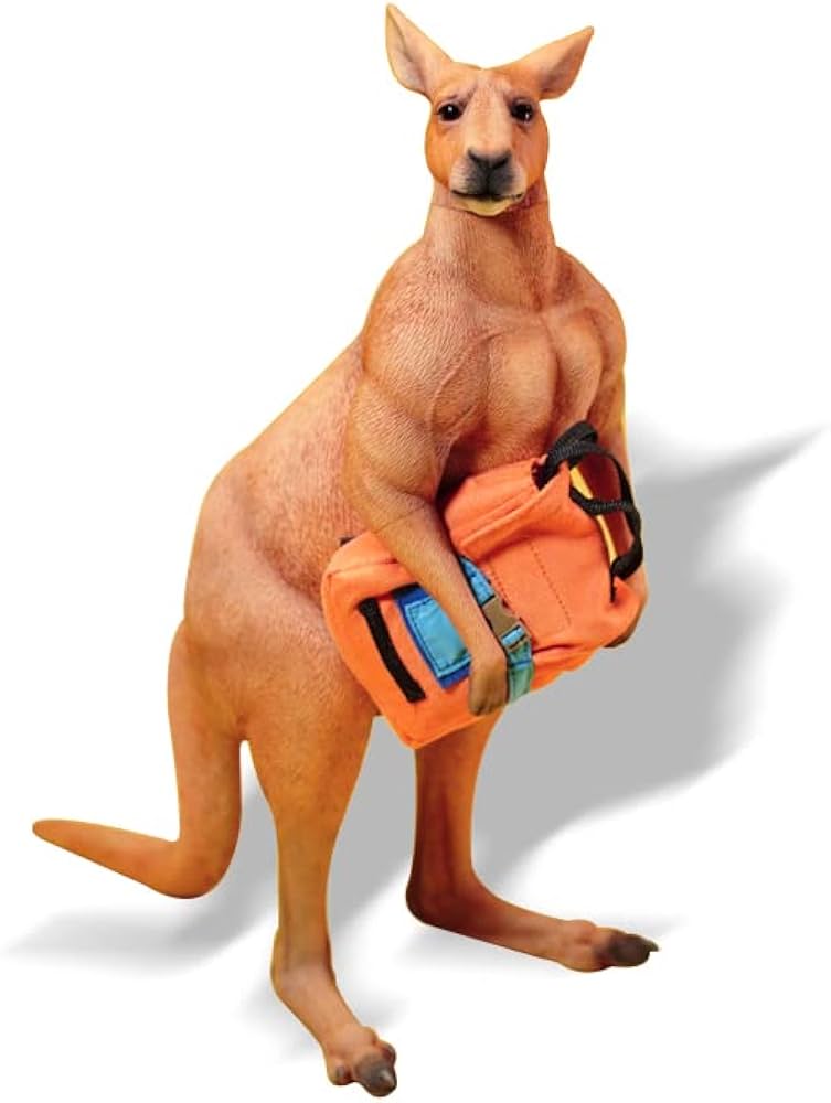 Amazon | BACALYSO | JXK 1/6 サイズ 筋肉 カンガルー フィギュア 野生 Amazon | BACALYSO | JXK 1/6 サイズ 筋肉 カンガルー フィギュア 野生