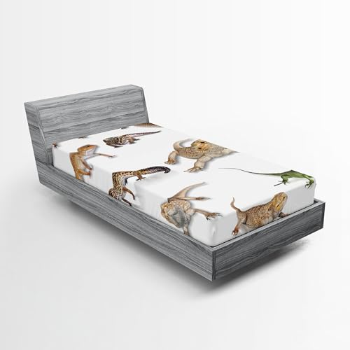 Ambesonne Animal Print 2 Pack Fitted Sheet, Prehistoric Reptile, Bed Cover All-Round Elastic Deep Pockets 2 Pieces, Package Contains 2 Twin XL Size Fitted Sheets, Brown White