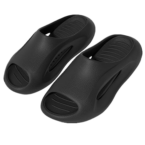 [kaidisen] zF T_ Xbp  EVA y [V[Y NbV [Xbp fB[X Y  O