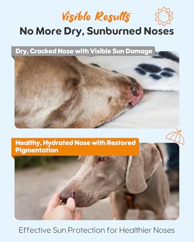 Image of Dog Nose Sunscreen Balm SPF 25 - Natural, Lick-Safe Sun Protection with Shea Butter & Sea Buckthorn - Moisturizes & Shields Sensitive Noses - Fragrance-Free