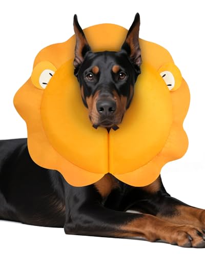 Image of MIDOG Inflatable Dog Cone, Lion Mane Recovery Collar, Large+ | Neck 11-14in, inflatable PVC bladder, nylon cover machine-washable, post-surgery anti-lick, thread collar loops