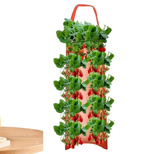 Bexdug 2 Stück Erdbeer-Pflanzbeutel, Hängende Pflanzbeutel Mit...