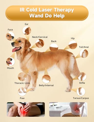 Image of Portable Cold Laser Therapy Device for Dog Cat Home Infrared Red Light Therapy Machine for Pain Relief, Arthritis, Pets Puppy Horse 808 /650 nm LLLT Vet Therapeutic Wand Hip Leg Joint Muscle Animal