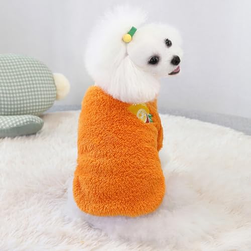 Suéter de pelúcia quente para animais de estimação – roupas de inverno fofas para filhotes, frutas d