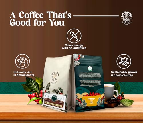 Café en grano colombiano arábica de tueste claro 12 oz miniatura 6