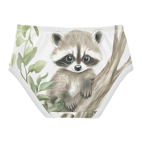 Cute Raccoon Animal Toddler Girls's Underwear 2T 202c03112
