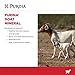 Purina | Goat Mineral Supplement for All Types and Lifestages | 25 Pound (25 lb) Bag