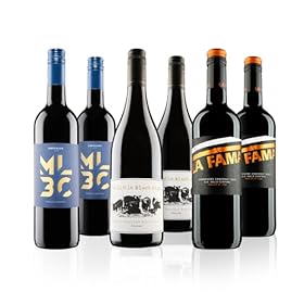 Buy Virgin Wines Customer Favourites Red Wine Case - 6 Bottles of Australian Shiraz, Argentinian Malbec & Chilean Carménère Today – Virgin Wines