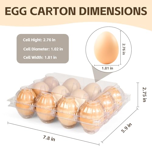 100 Pack Plastic Egg Cartons Bulk 12 Count - Cheap Bulk Clear Egg Crates for Chicken Eggs, Reusable Eggs Cartons Storage Solution for Farms, Markets, and DIY Crafts - Image 3