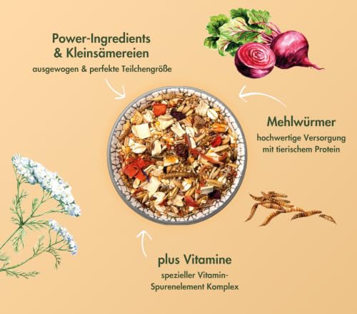 HamsterTraum Expert | Körnerfutter für Hamster | 2 x 500 g | Ohne Pellets