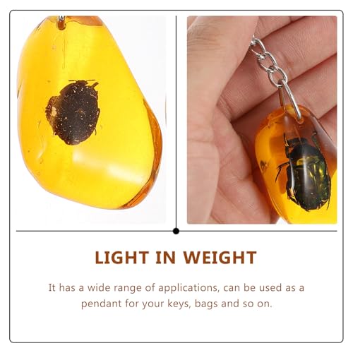 Image of balacoo Insect Specimen Keychain- 12Pcs Creative Insect Amber Specimen Pendant, DIY Key Ring