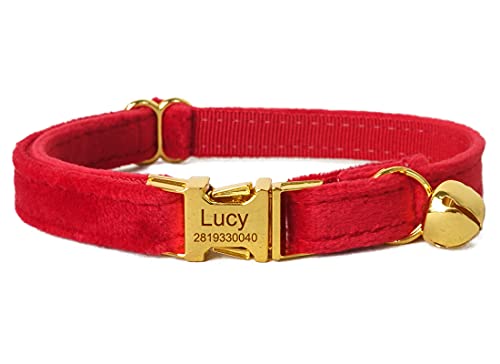 Tiiyar L O聕dbԍ qDt t qL^ɓKp (L, +S[h)