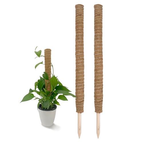 Kokos Rankstab 80 cm Natur - 2 Stück - Pflanzstab für Zimmerpflanzen – Blumen Pflanz Stab Topf Rankhilfe Kletterhilfe Kokosstange für Kletterpflanzen Kokos Rankstab 80 cm Natur - 2 Stück - Pflanzstab für Zimmerpflanzen – Blumen Pflanz Stab Topf Rankhilfe Kletterhilfe Kokosstange für Kletterpflanzen