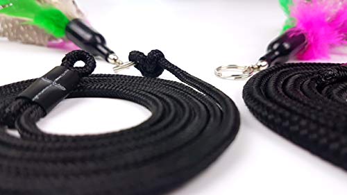 SCHLITZOHR - Canna da Pesca per Gatti, con 2 Molle...