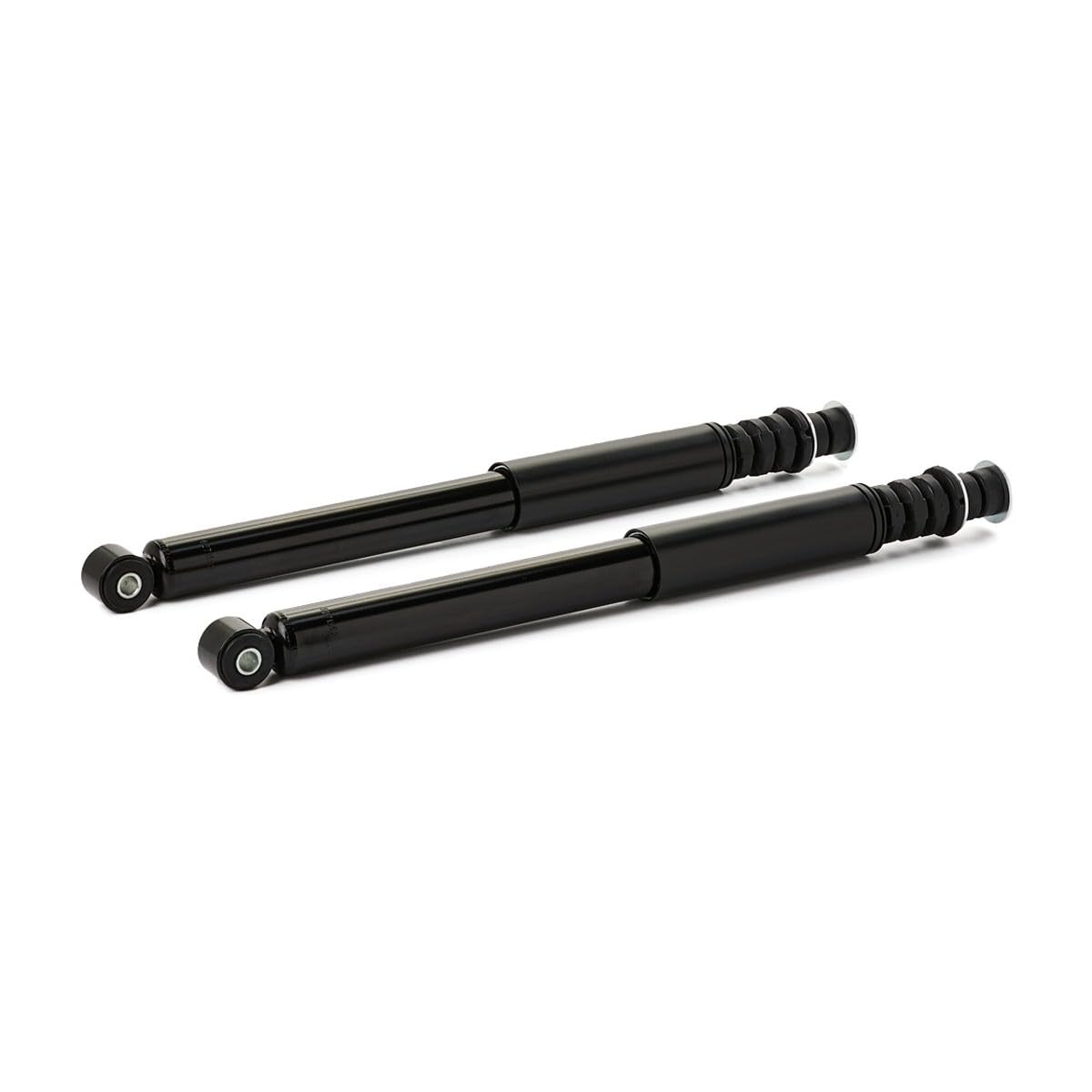 RIDEX PLUS 854S0945P 2x Amortisseur Arrière Compatible avec RENAULT Clio 3 3/5 portes BR0/1, CR0/1