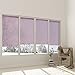 Cordless Sheer Window Roller Shades, Custom Size Purple Roller Window Blinds, Easy Installation for Home and Office
