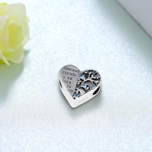 Cremation Charm for Ashes 925 Sterling Silver Tree of Life Urn Beads for Bracelets Keepsake Memory Jewelry for Women3