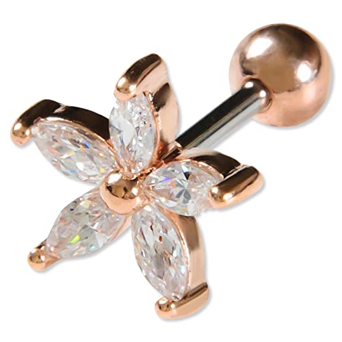 sAX  16g 16Q[W {fBsAX  t[ sAX sAX  p C[ u p gKX wbNX T[WJXeX Xg[go[x 킢 t[  (sOS[h)