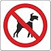 Produktbild Vinyl-Aufkleber mit Aufschrift "No Dogs Allowed", 10 x 10 cm