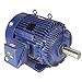 General Purpose Mtr 3-Ph TEFC 125 HP