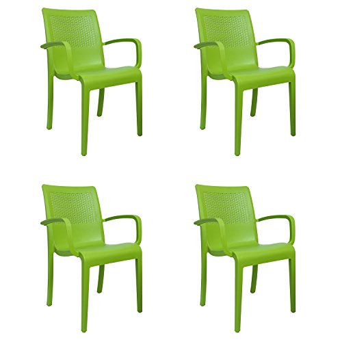 Image of CELLO Ecstasy Chair - Green | Strong and Durable | Easy to Clean | Chair for Living Room, Bed Room, Kitchen, Office Room, Outdoor | 3 Years Warranty