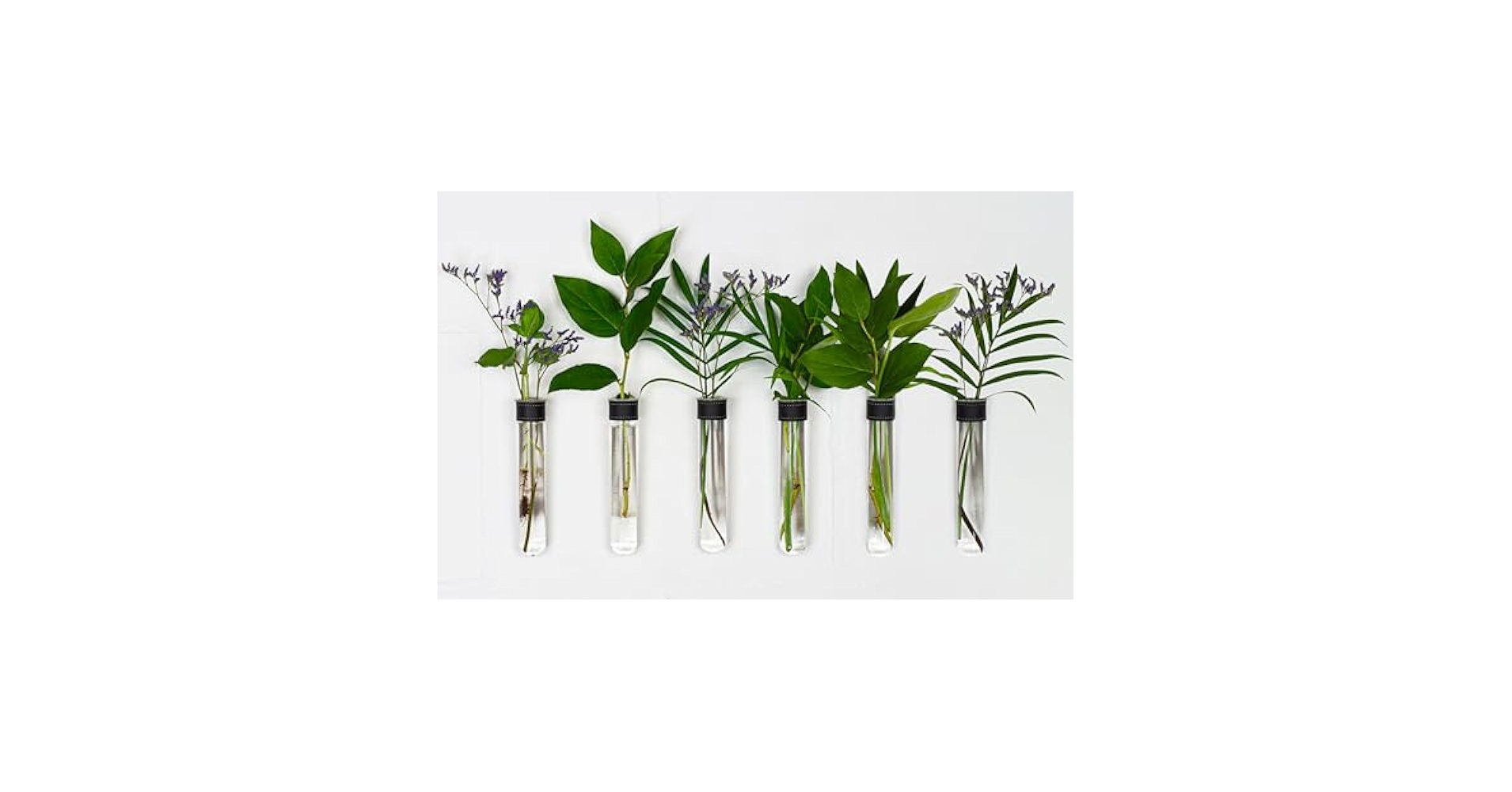 【真空管】Rags Wall Effects Tube Plant Stomp Rags Wall Effects 真空管 Tube Plant Stomp
