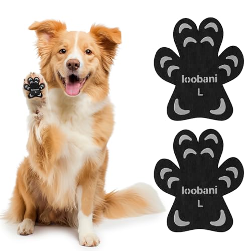 Cut On Dog Paw Pad The 15 best products compared Wild Explained