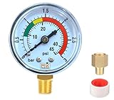 MK MEASURING - Manómetro para Filtro de Piscina 0-3 bar / 45 PSI,...