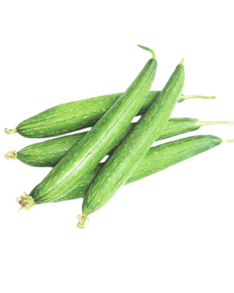 Audbhidhi Vegetable Seeds | Gourd Seeds | Sponge Guard Seeds F1 Hybrid Summer Seasons For Home Gardening pack of 10 ( long) pack of 2 packet