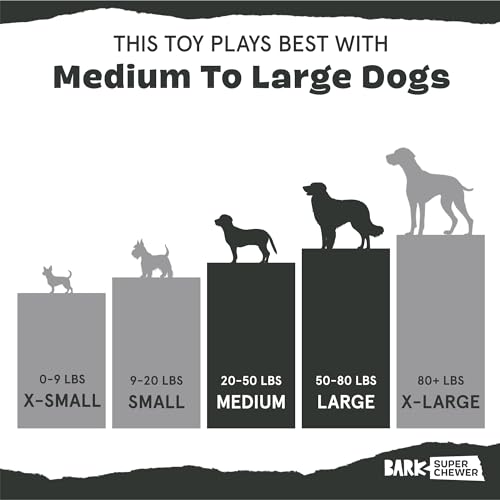 Image of BarkBox Sven The Hedgie Super Chewer Dog Toy - Large | Natural Rubber, Wacky Bounce & Rippled Texture | Durable Dog Toy for Aggressive Chewers, Medium to Dogs