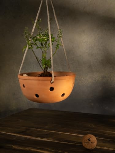Village Decor Handmade Terracotta Bowl Shape Orchid Pot|Indoor and Outdoor Plannter Pot with Multiple Holes|Pack of 1|Height - 3.75