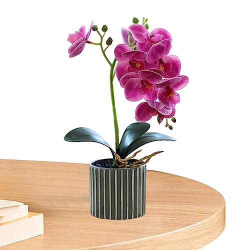 Opiniones y reviews de Macetas artificiales - los más vendidos. 15 Imagen adicional