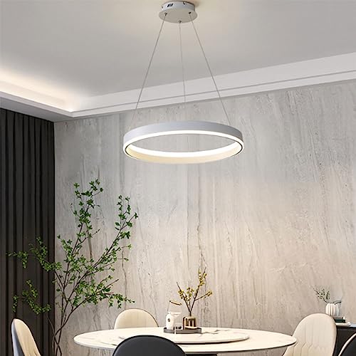 Éclairage intérieur simple dimmable lustre circulaire pour plafond de cuisine moderne - 2