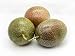 Melissa's Fresh Passion Fruits, 1 Dozen