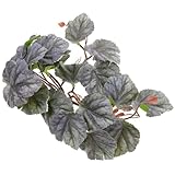 Happyyami 革新的な爬虫類用 吊り下げ式テラリウム。爬虫類用品のための丈夫なフェイクプラント。 そっくりのデザイン。