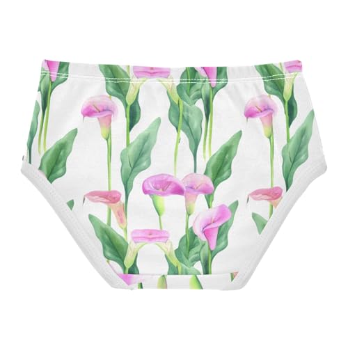 Girls Underwear Toddler 2t Cotton Cute Panties Girl Florals Briefs Kids Undies Pink Calla Lilies Green Leaves White2