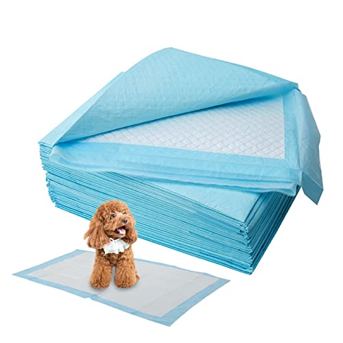 8s[X/ob`z܃ybgނ̌PނpbhĝĂނpbhĽ̂ނP[Wpbh (TCY : 60cmx60cm)